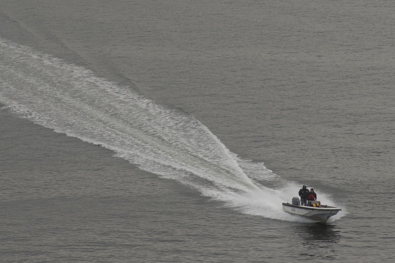 315-8444 Seattle Speedboat.jpg